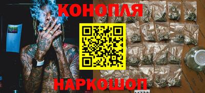 крисы Краснознаменск