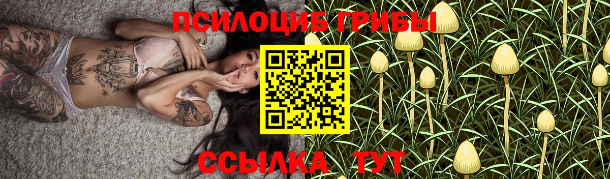 Псилоцибиновые грибы MAGIC MUSHROOMS  Вход с VPN  Псилоцибиновые грибы ЛСД  Дмитров 